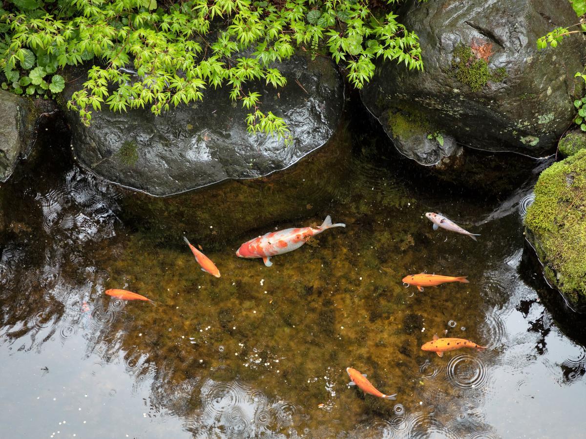 Ryokan Gizan Такаяма Екстериор снимка